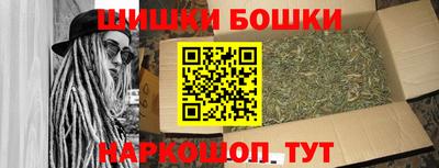 гашик Новозыбков
