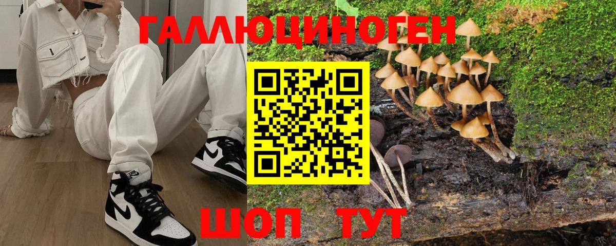 Псилоцибиновые грибы мухоморы Барабинск