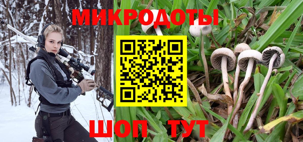 Галлюциногенные грибы Psilocybine cubensis  Вход с VPN  Барабинск 